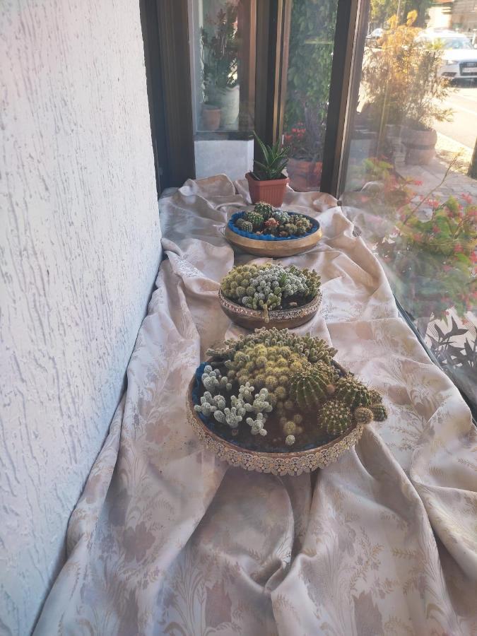Apartman Hujic Bihać Dış mekan fotoğraf